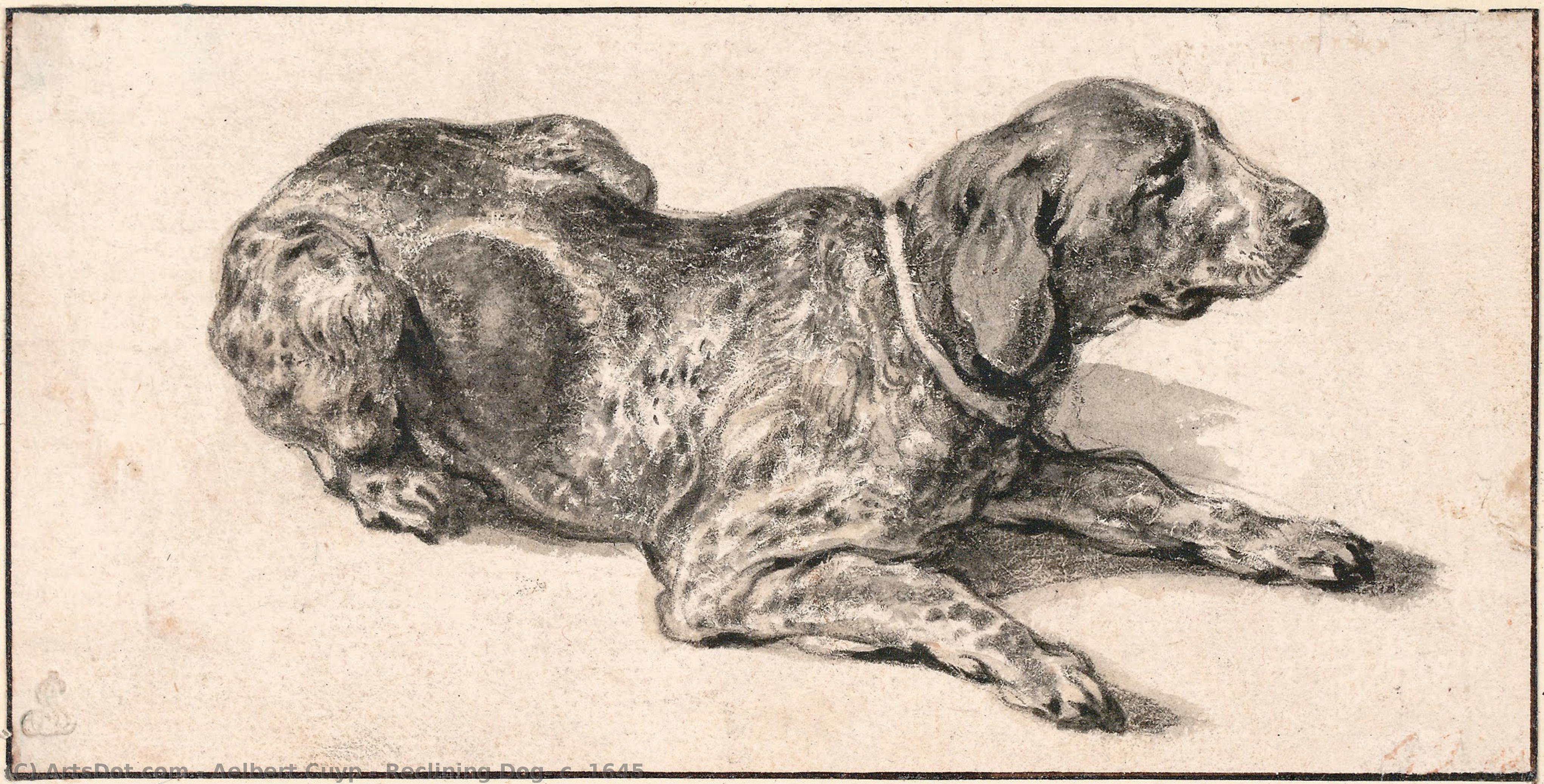Reclining Dog, C. 1645 — Aelbert Jacobszoon Cuyp