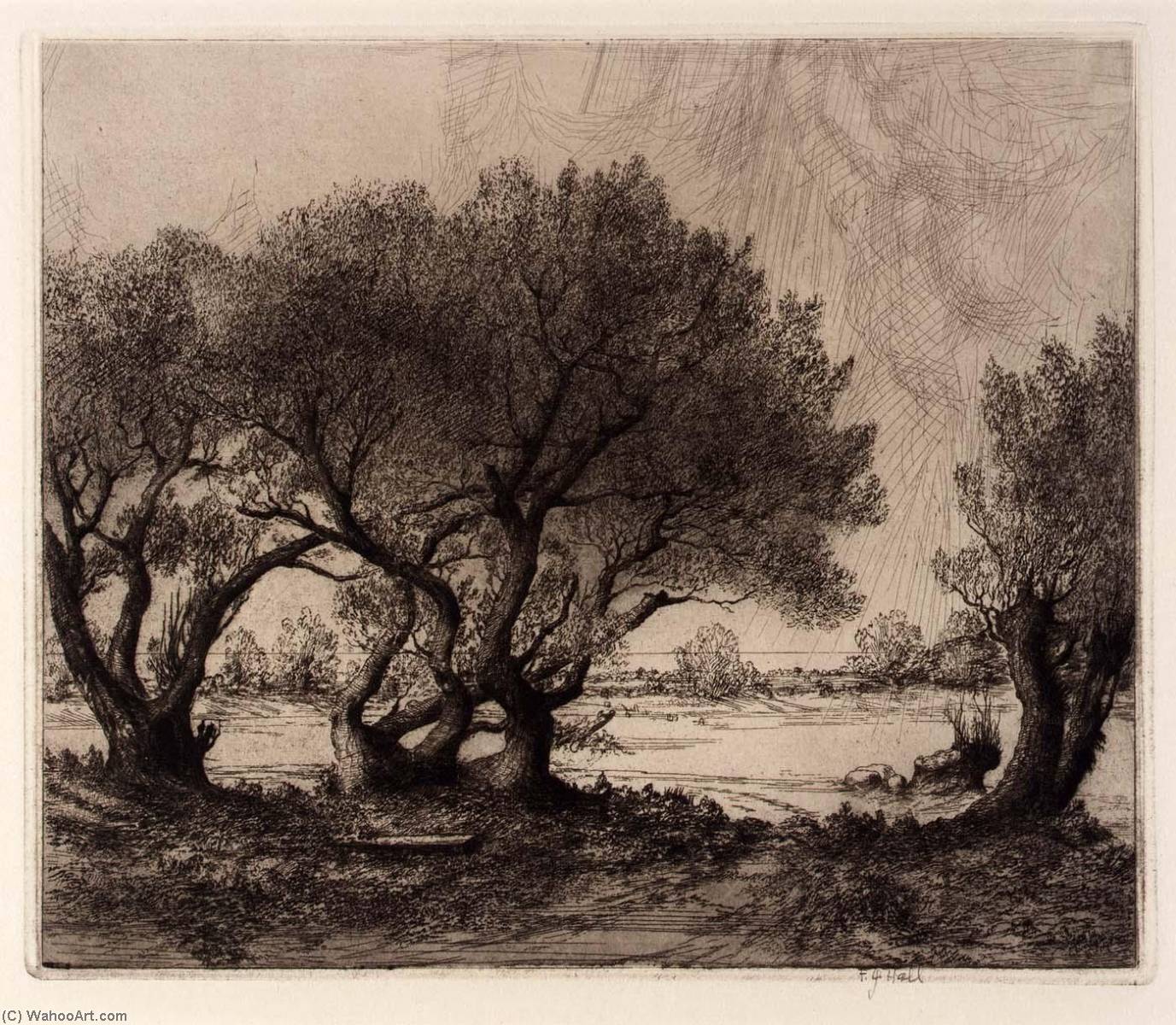 Old Willows — Frederick G Hall