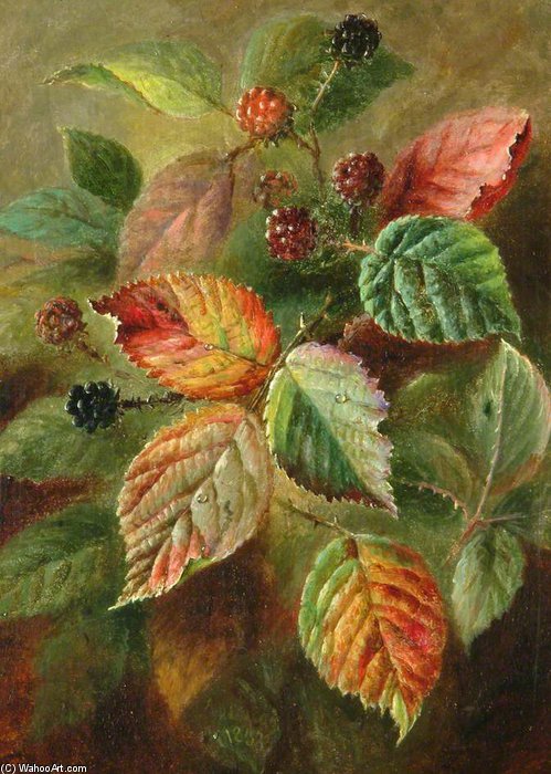 Blackberries — Albrecht Dürer