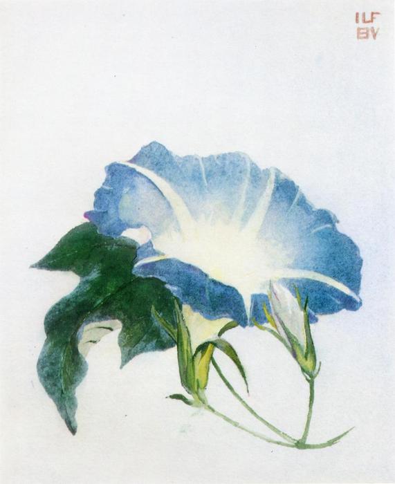 Ipomoea (also Known As Morning Glory) — John La Farge