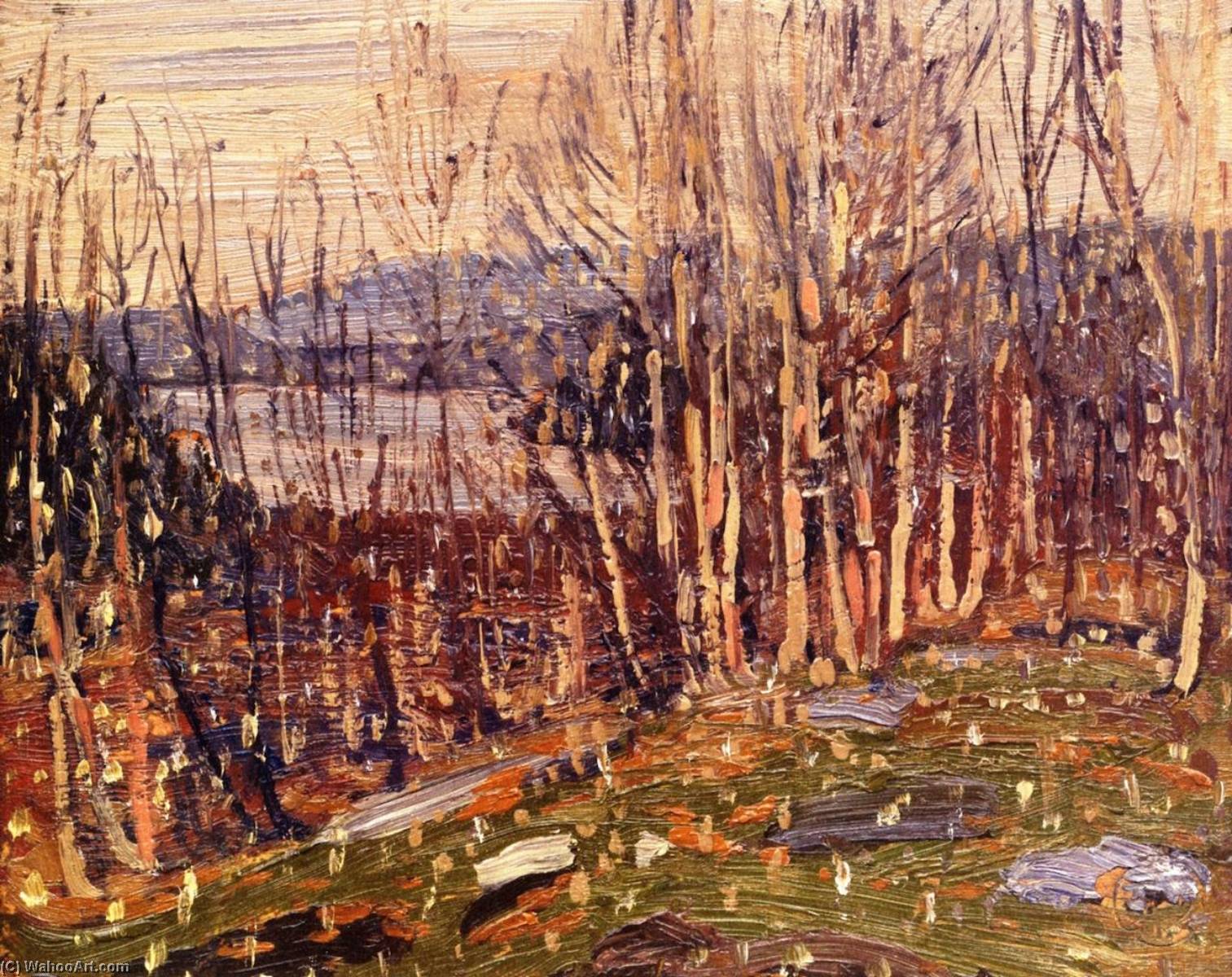 First Snow, Canoe Lake — Tom Tomson