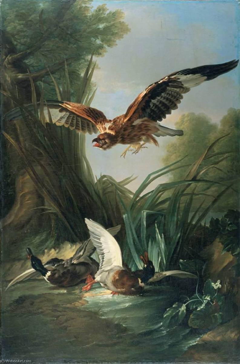 Hawk Attacking Wild Duck — Jacques Charles Oudry