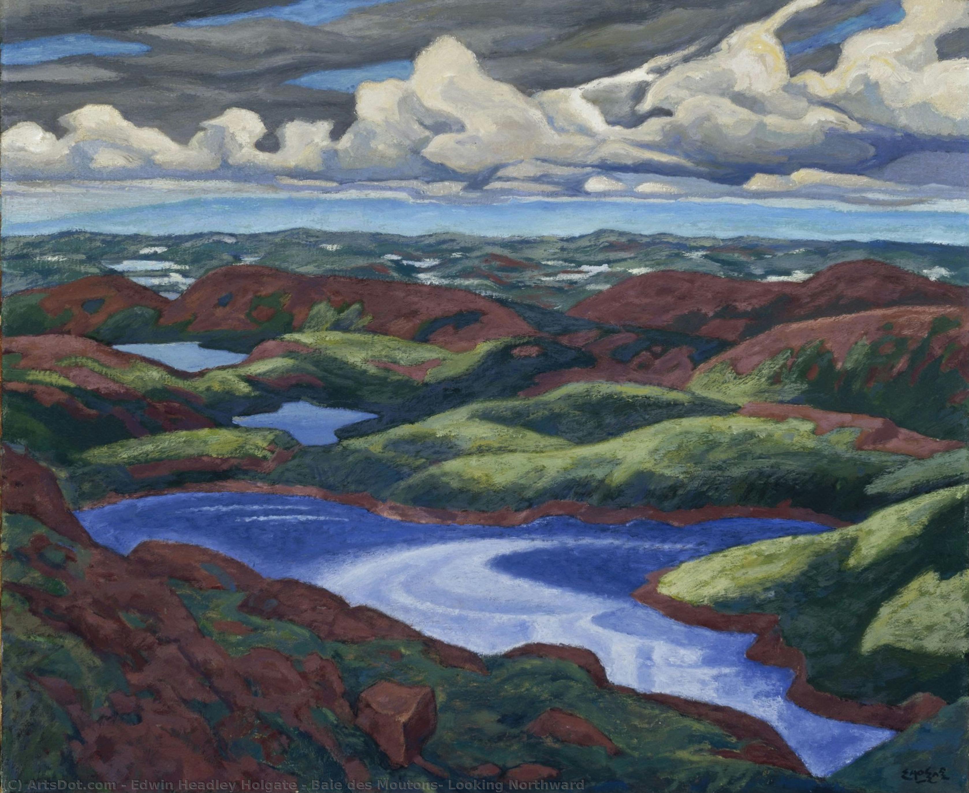 Baie Des Moutons, Looking Northward — Edwin Headley Holgate