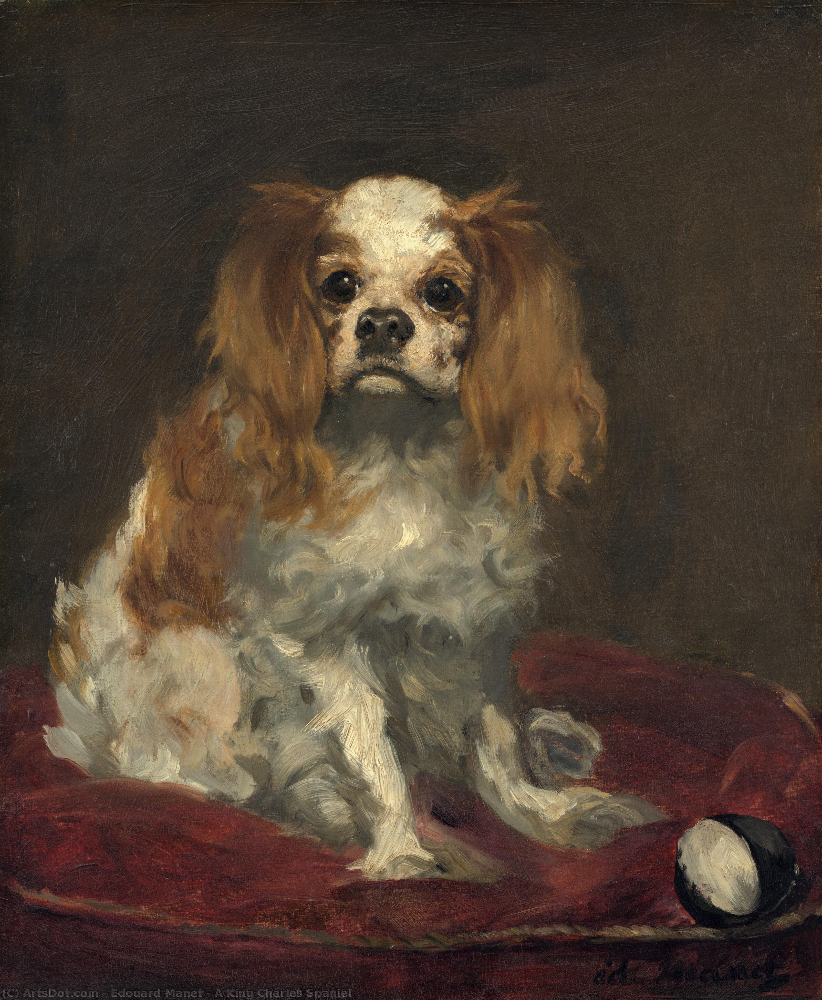 A King Charles Spaniel — Édouard Manet