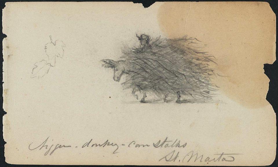 Colombian Native With Donkey Carrying Load Of Cornstalks, Santa Marta — Martin Johnson Heade