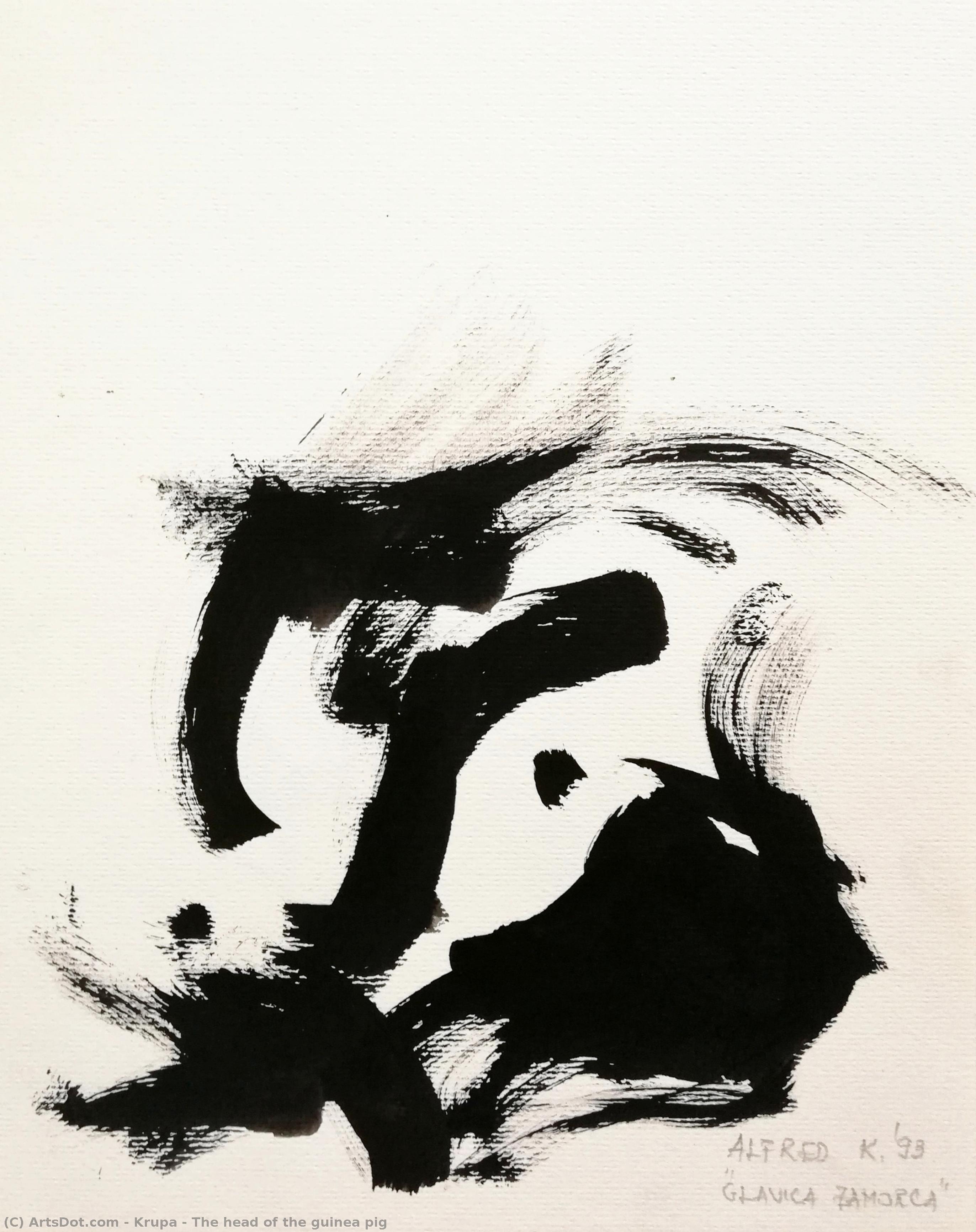The Head Of The Guinea Pig — Krupa