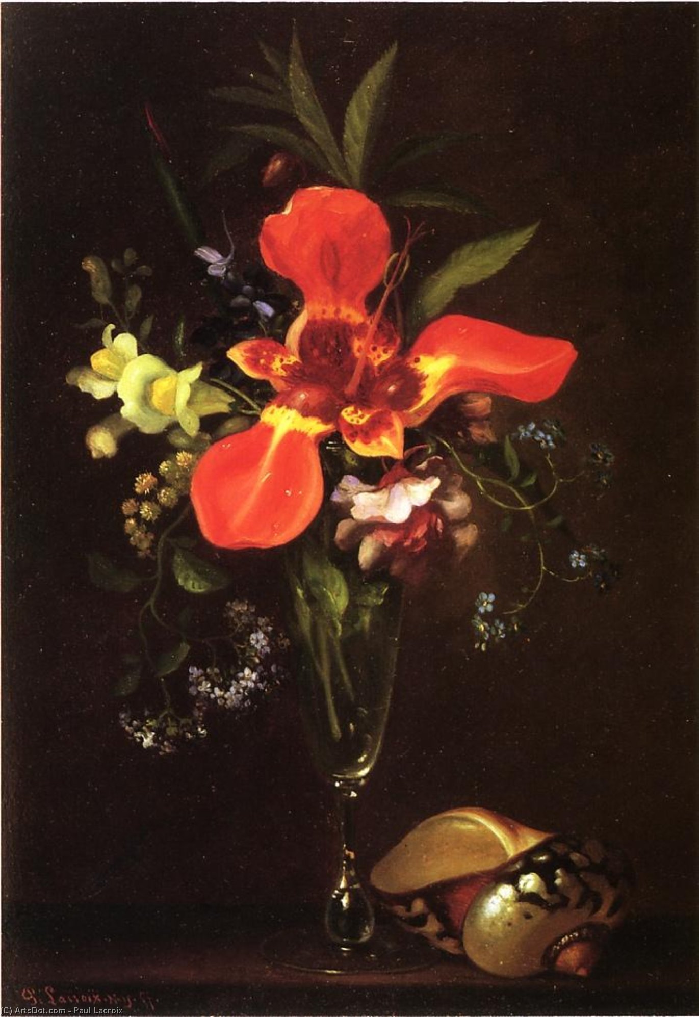 Vase Of Flowers And A Shell — Paul Lacroix