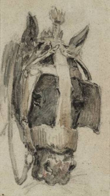 Horse's Head — David Cox