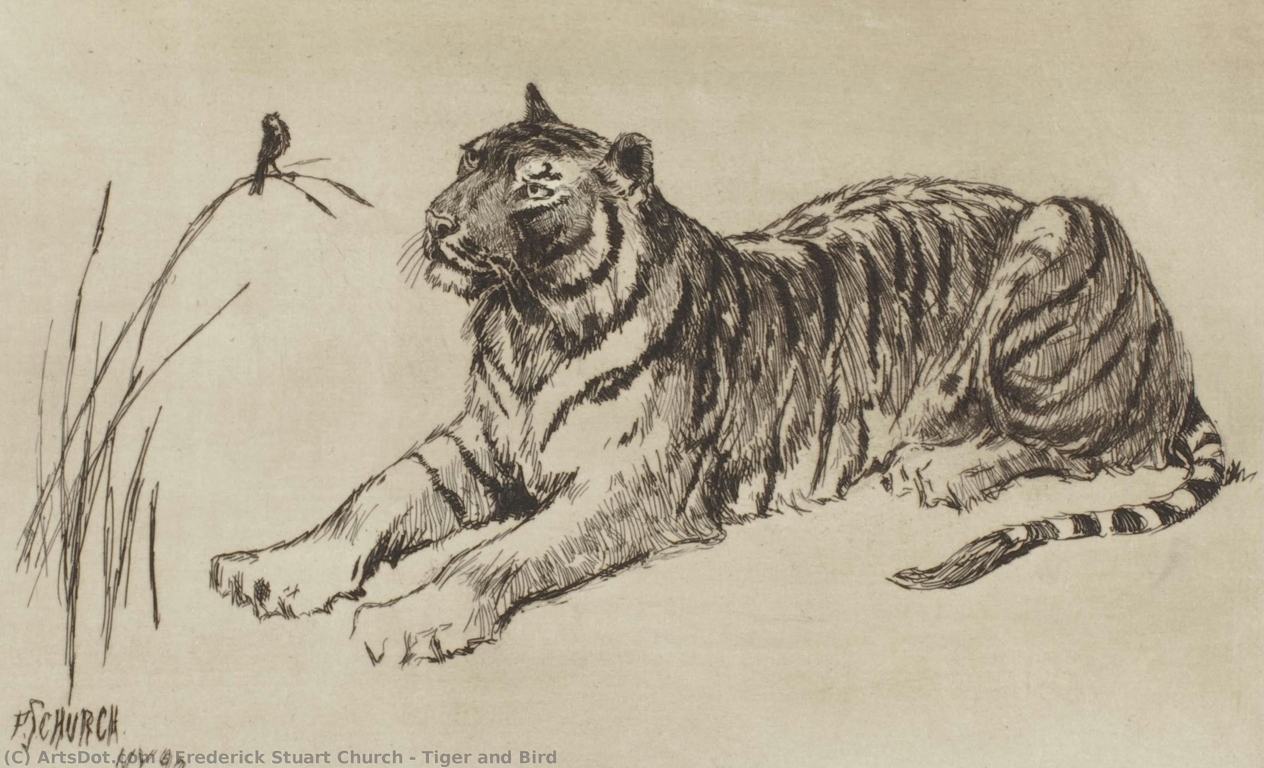 Tiger And Bird — Frederick Stuart Church