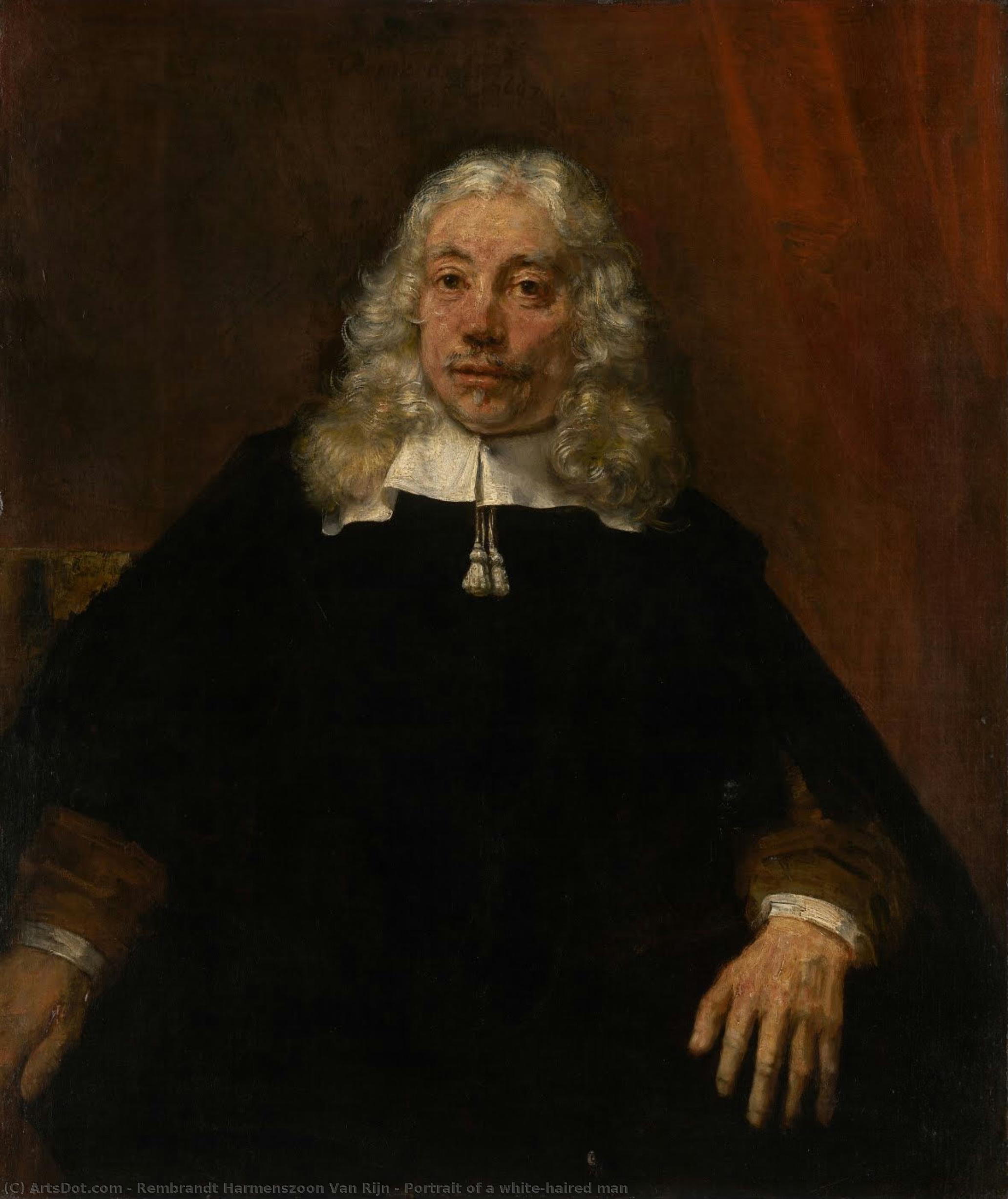Portrait Of A White-haired Man — Rembrandt Van Rijn