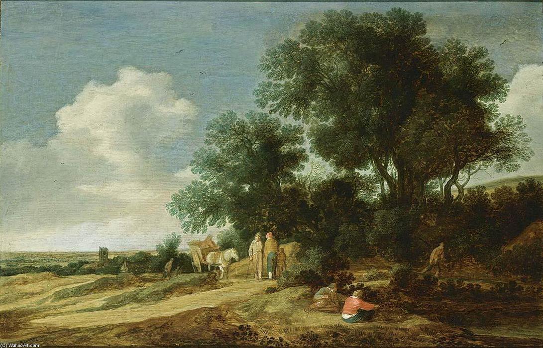 An Extensive Dune Landscape — Pieter De Molyn