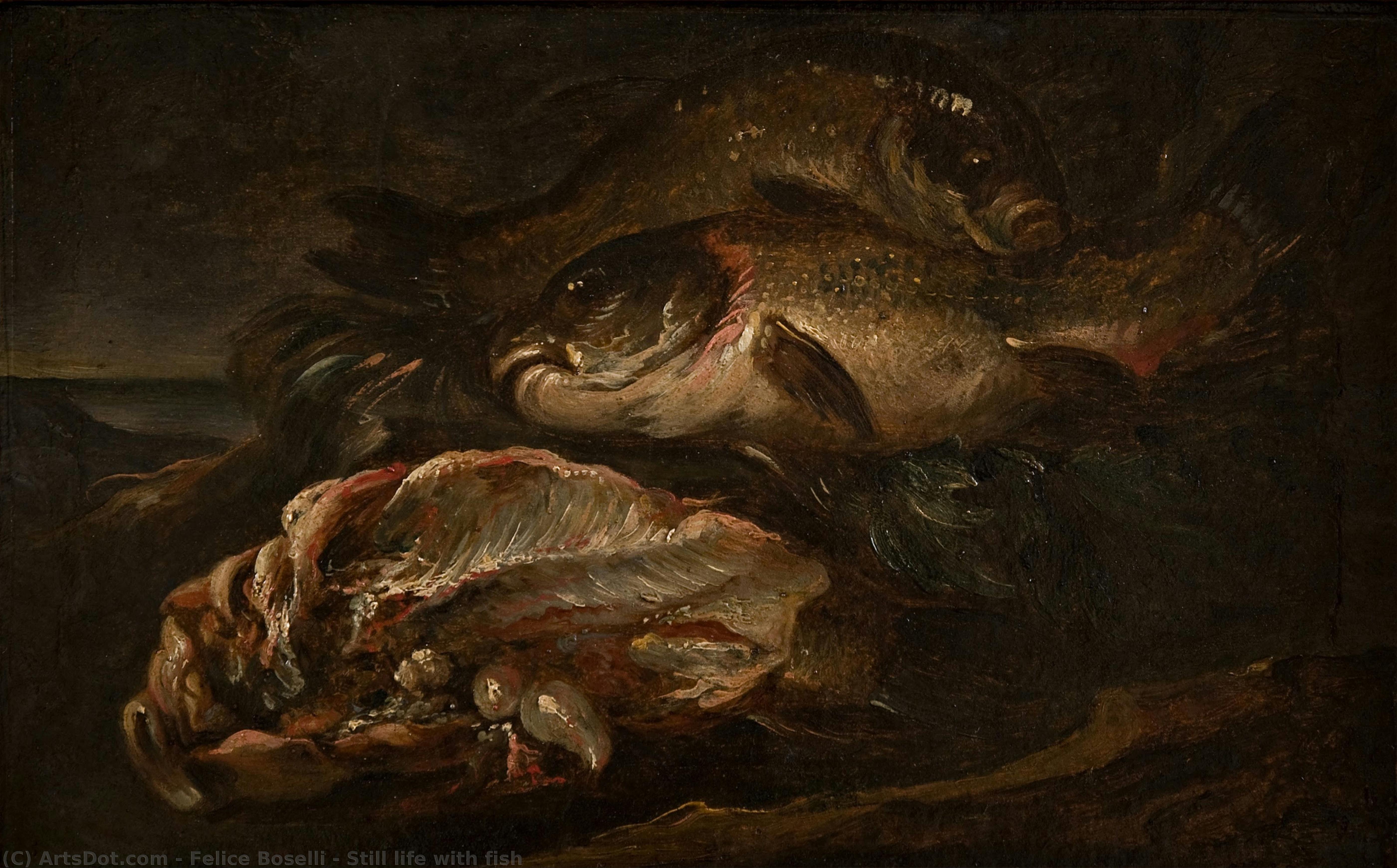 Still Life With Fish — Felice Boselli