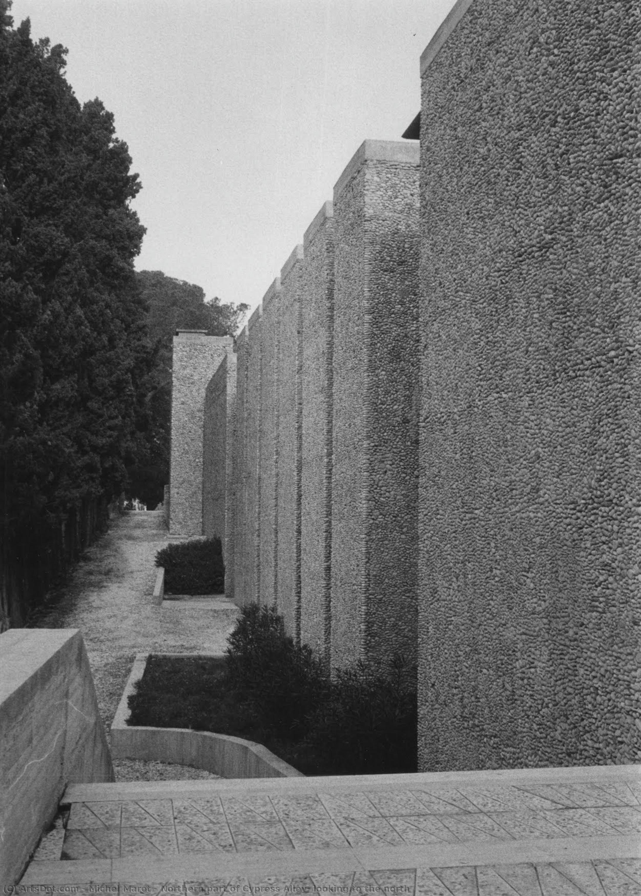 Northern Part Of Cypress Alley, Looking To The North — Michel Marot