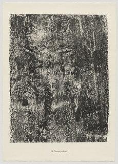 Profuse Texture (texture Profuse) From The Portfolio Theater Of The Earth (théâtre Du Sol) From Phenomena (les Phénomènes) — Jean Philippe Arthur Dubuffet
