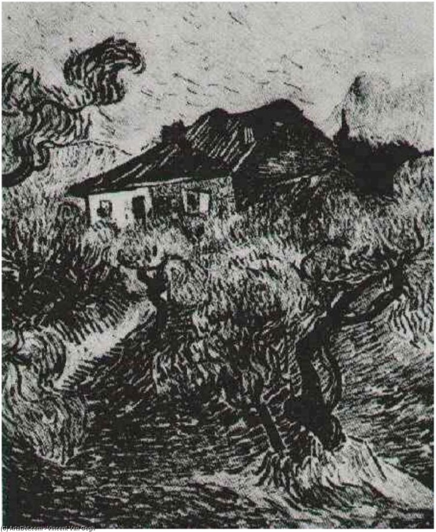 White Cottage Among The Olive Trees, The — Vincent Willem Van Gogh