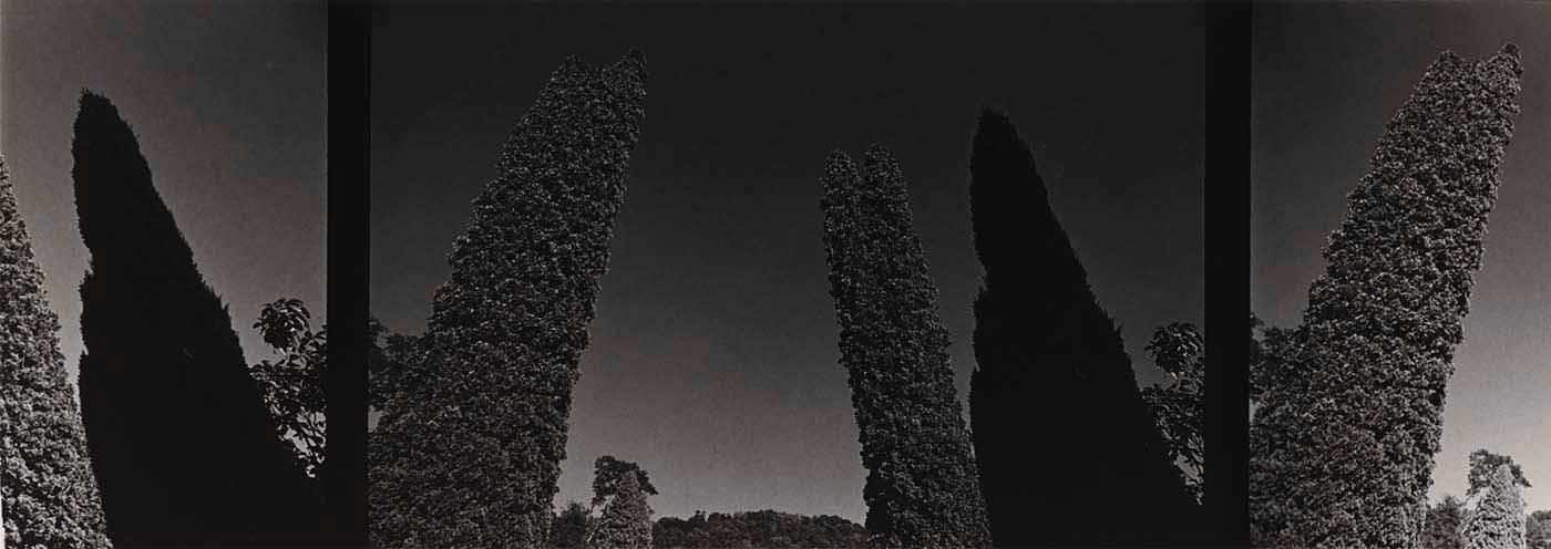 Red Creek, West Virginia (triptych) — Dan Biferie