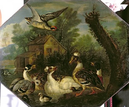 Ornamental Waterfowl And Their Ducklings On A Mill — Pieter Casteels