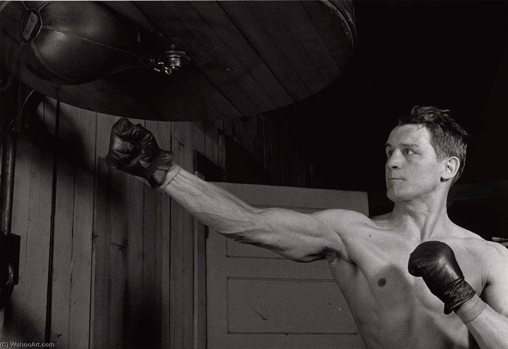 (boxer) — Harold E Edgerton