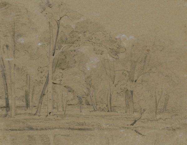 Forest At Windsor — John Frederick Lewis