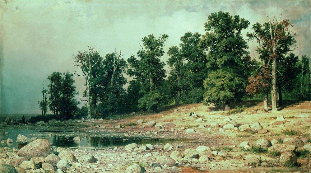 Coast Of Oak Grove Of Peter The Great In Sestroretsk — Ivan Ivanovich Shishkin
