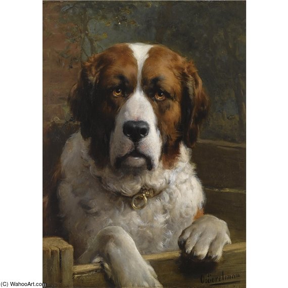 A Saint Bernard Dog — Oto Erelman