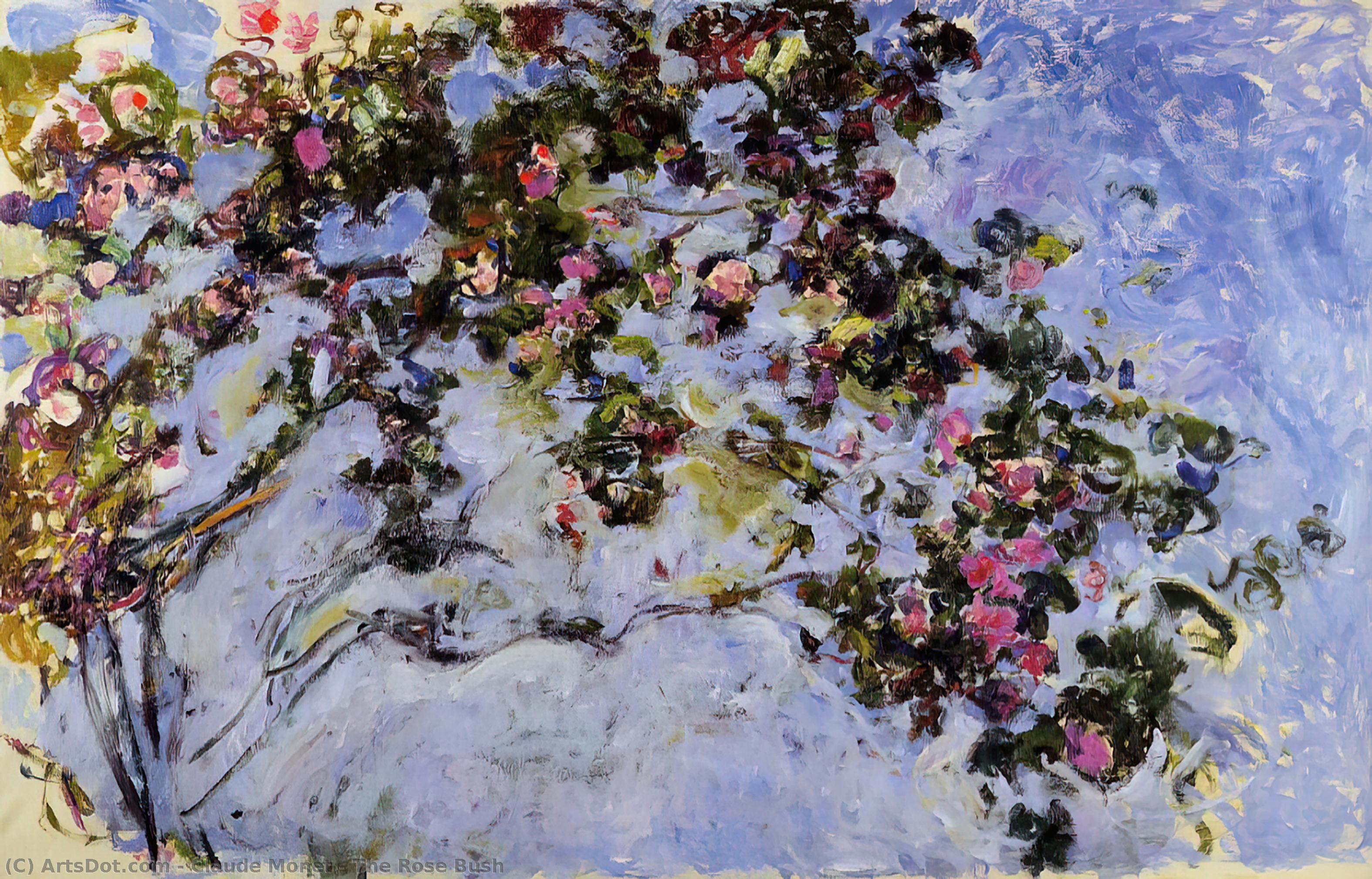 The Rose Bush — クロード・モネ