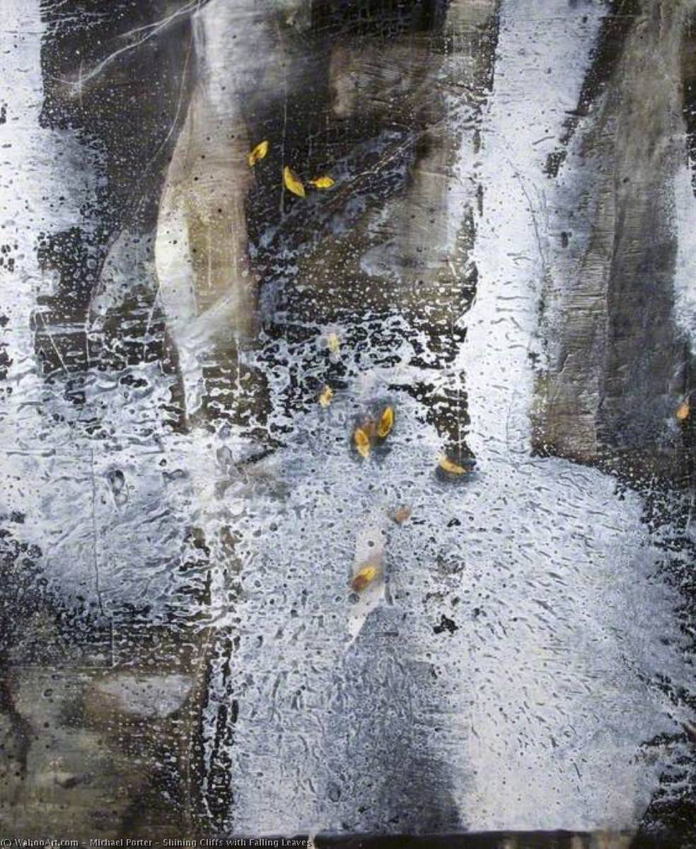 Shining Cliffs With Falling Leaves — Michael Porter