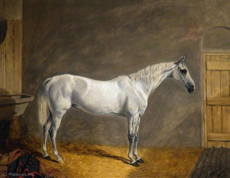 'time Keeper', The Charger Of W. H. Kennedy-erskine, 17th Lancers — John Alfred Wheeler