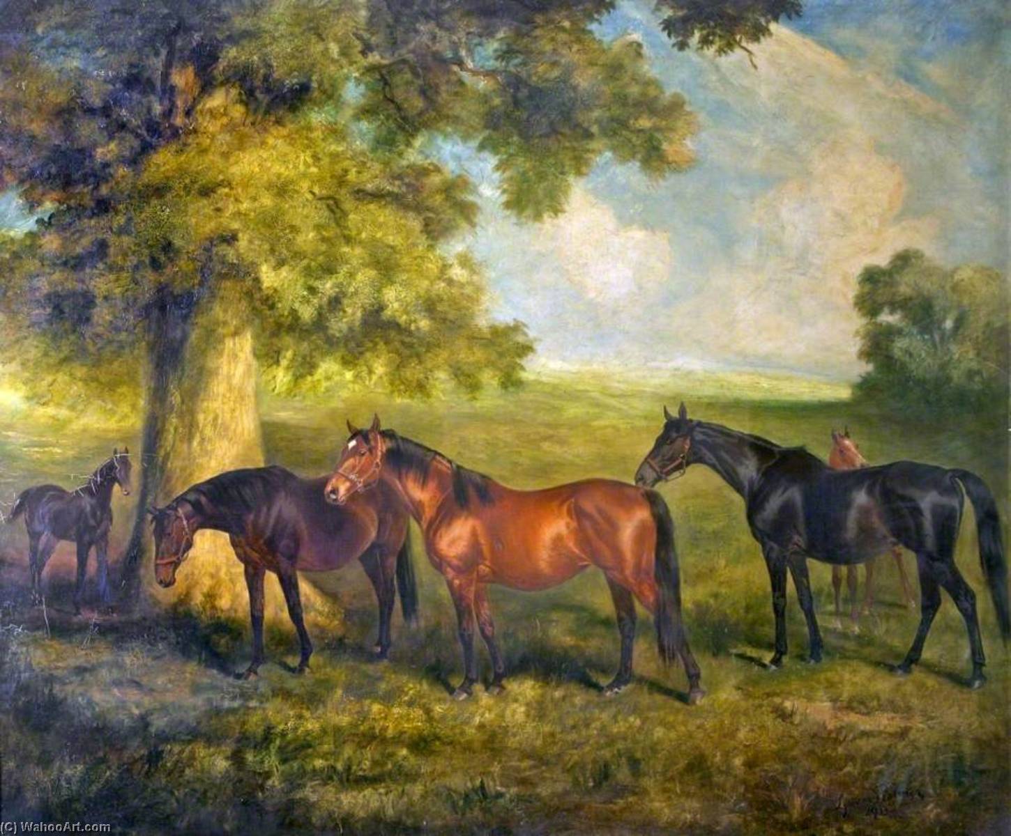 'jean's Folly', 'cherry Lass' And 'black Cherry' — James Lynwood Palmer