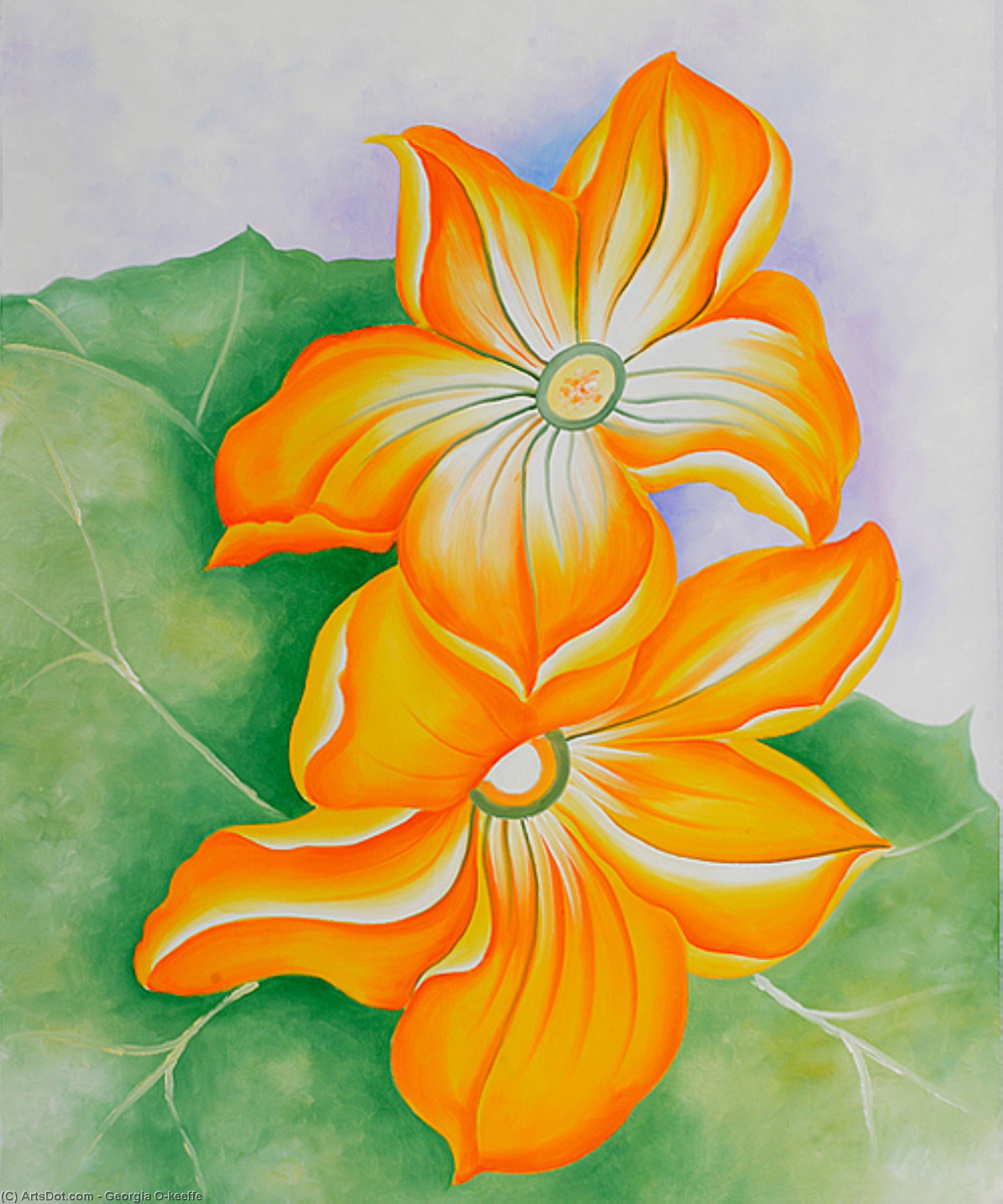 Squash Blossoms — ジョージア・オキーフ