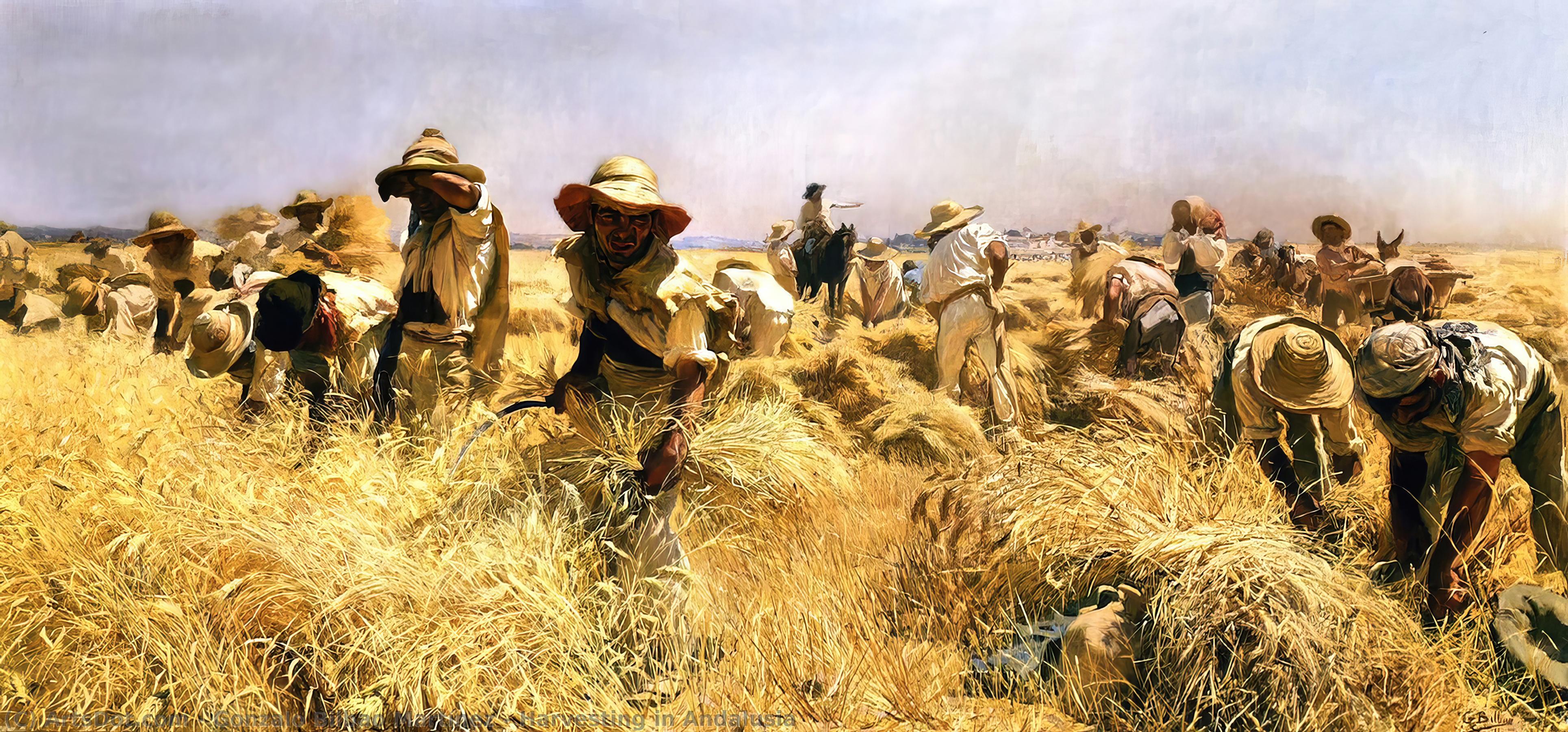 Harvesting In Andalusia — Gonzalo Bilbao Martínez