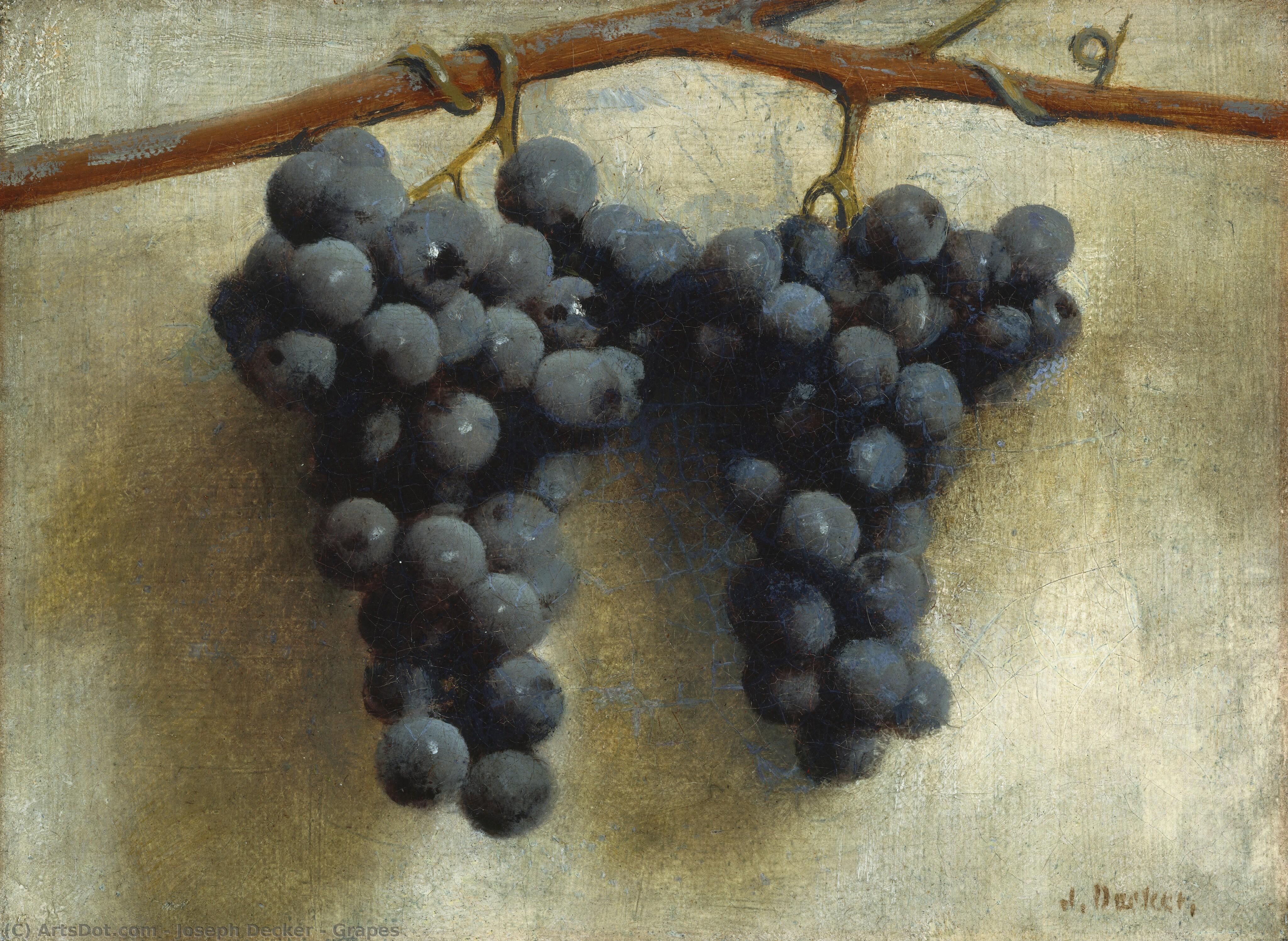 Grapes — Joseph Decker