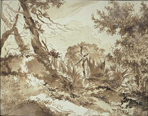 Corner Of The Landscape. Trees And Old Fence Rod — Nicolaes Pietersz Berchem