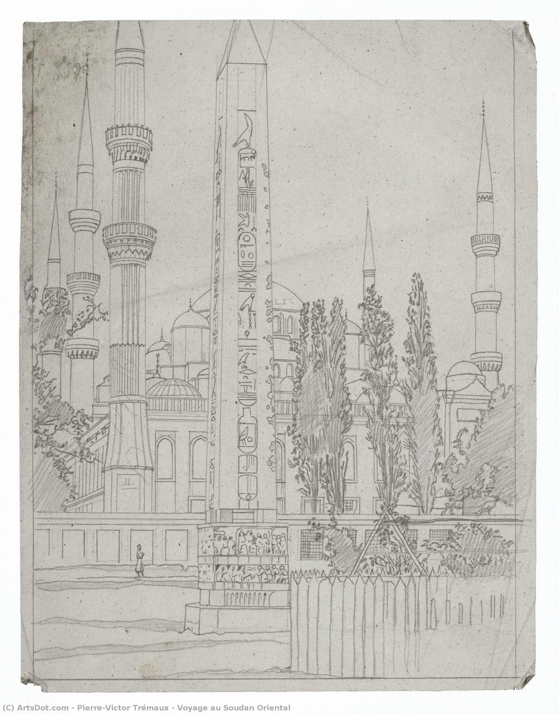 Voyage Au Soudan Oriental — Pierre-victor Trémaux