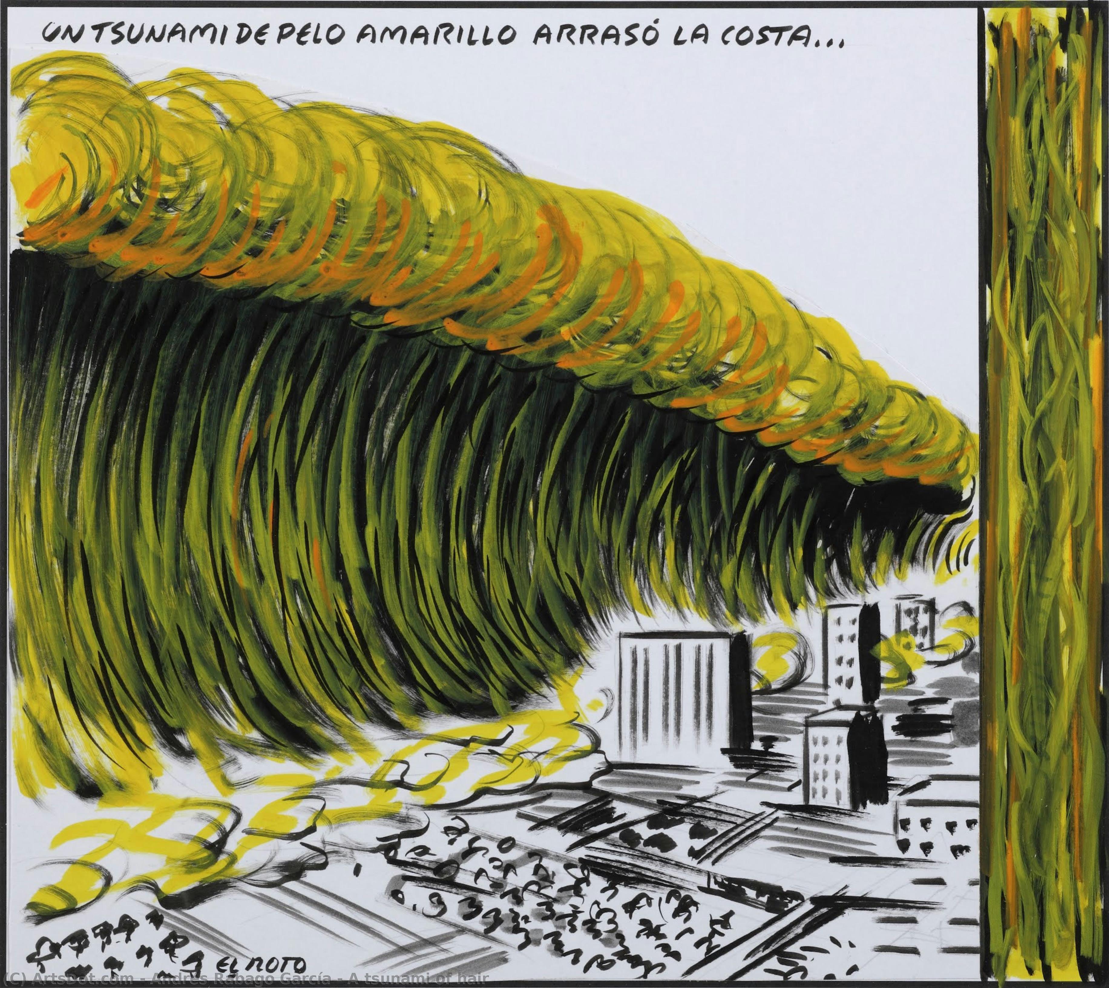 A Tsunami Of Hair — Andrés Rábago García