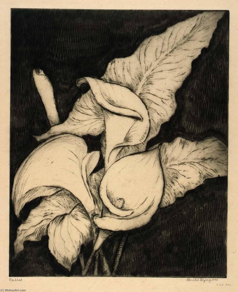 Callas — Bertha Evelyn Jaques