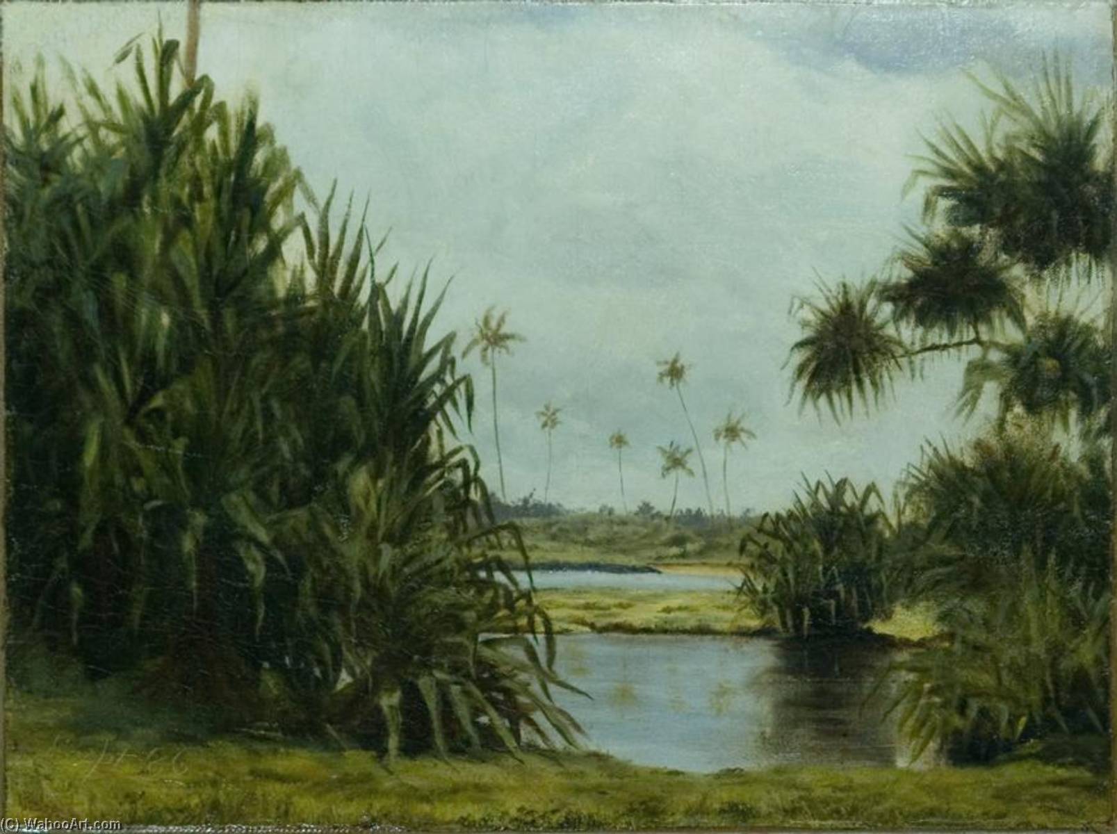 Untitled (aqzbla) — David Howard Hitchcock