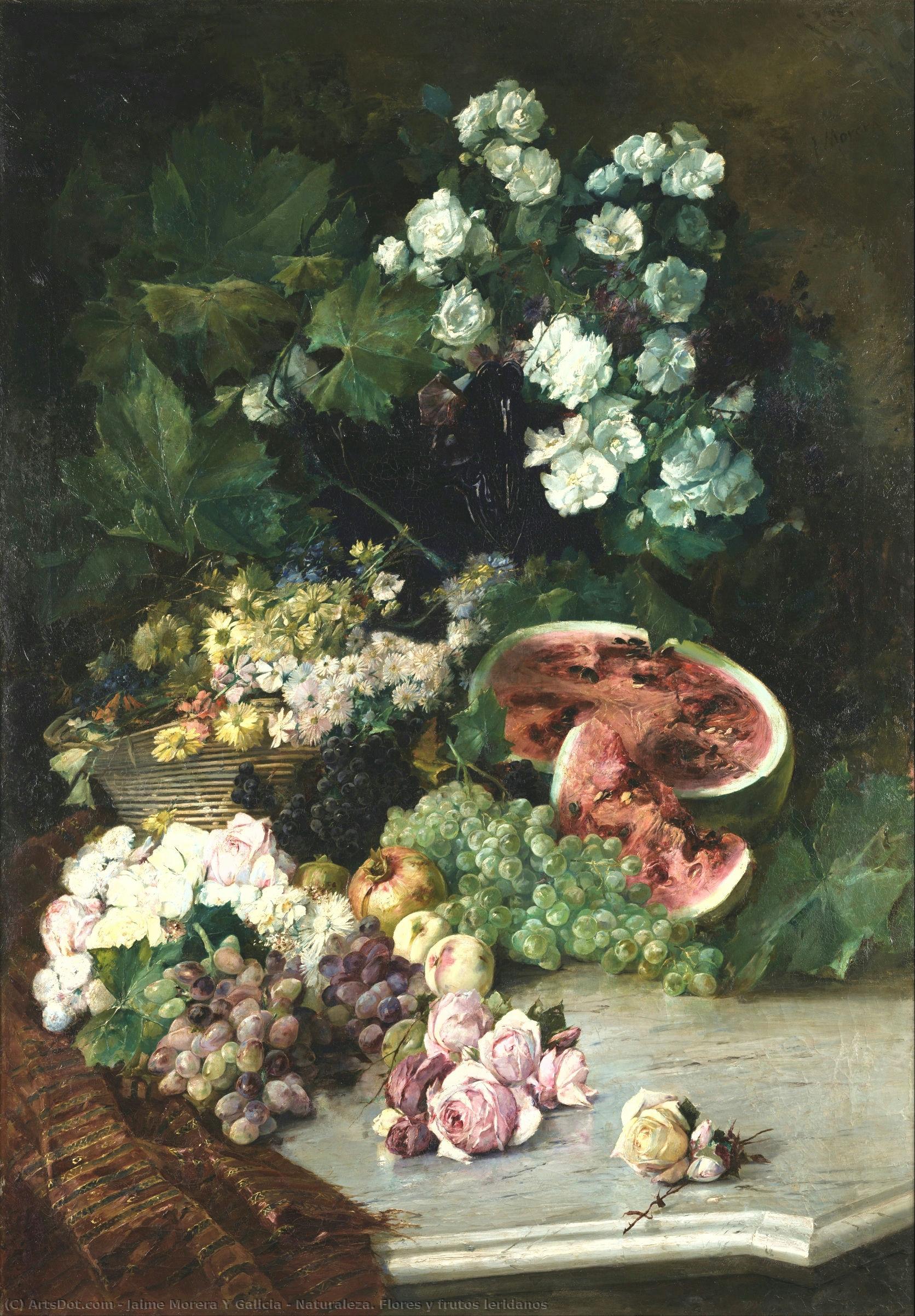 Naturaleza. Flores Y Frutos Leridanos — Jaime Morera Y Galicia