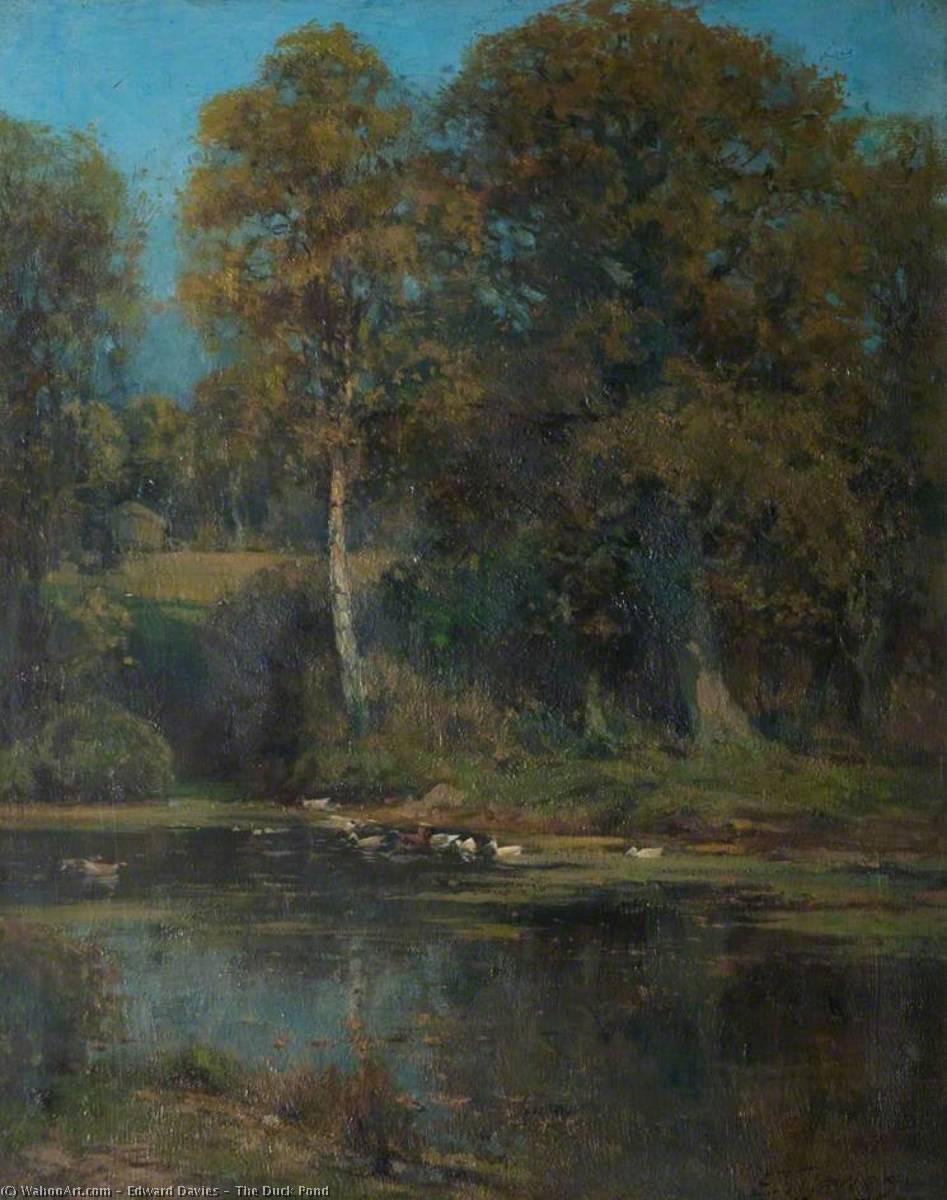 The Duck Pond — Edward Davies