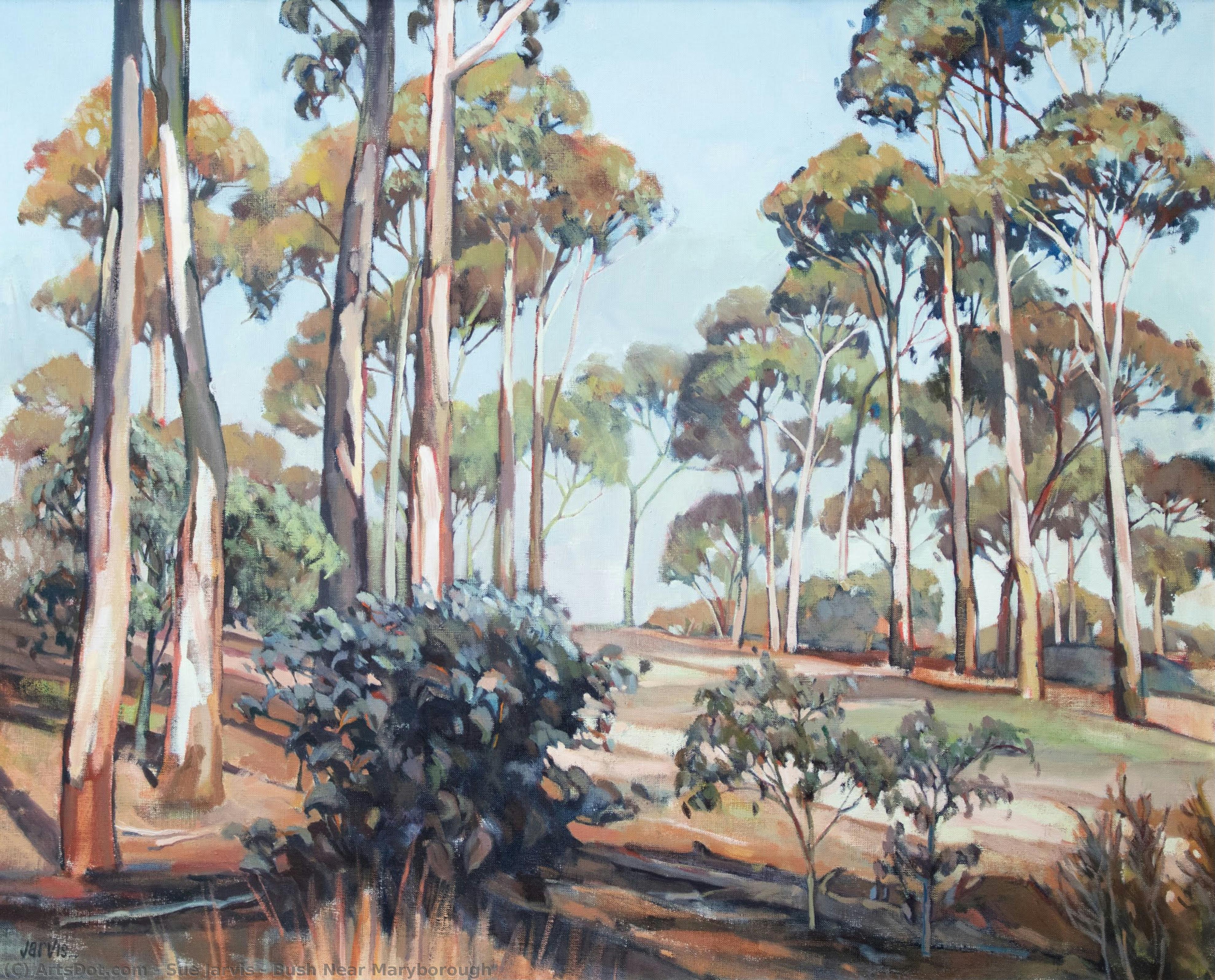 Bush Near Maryborough — Sue Jarvis