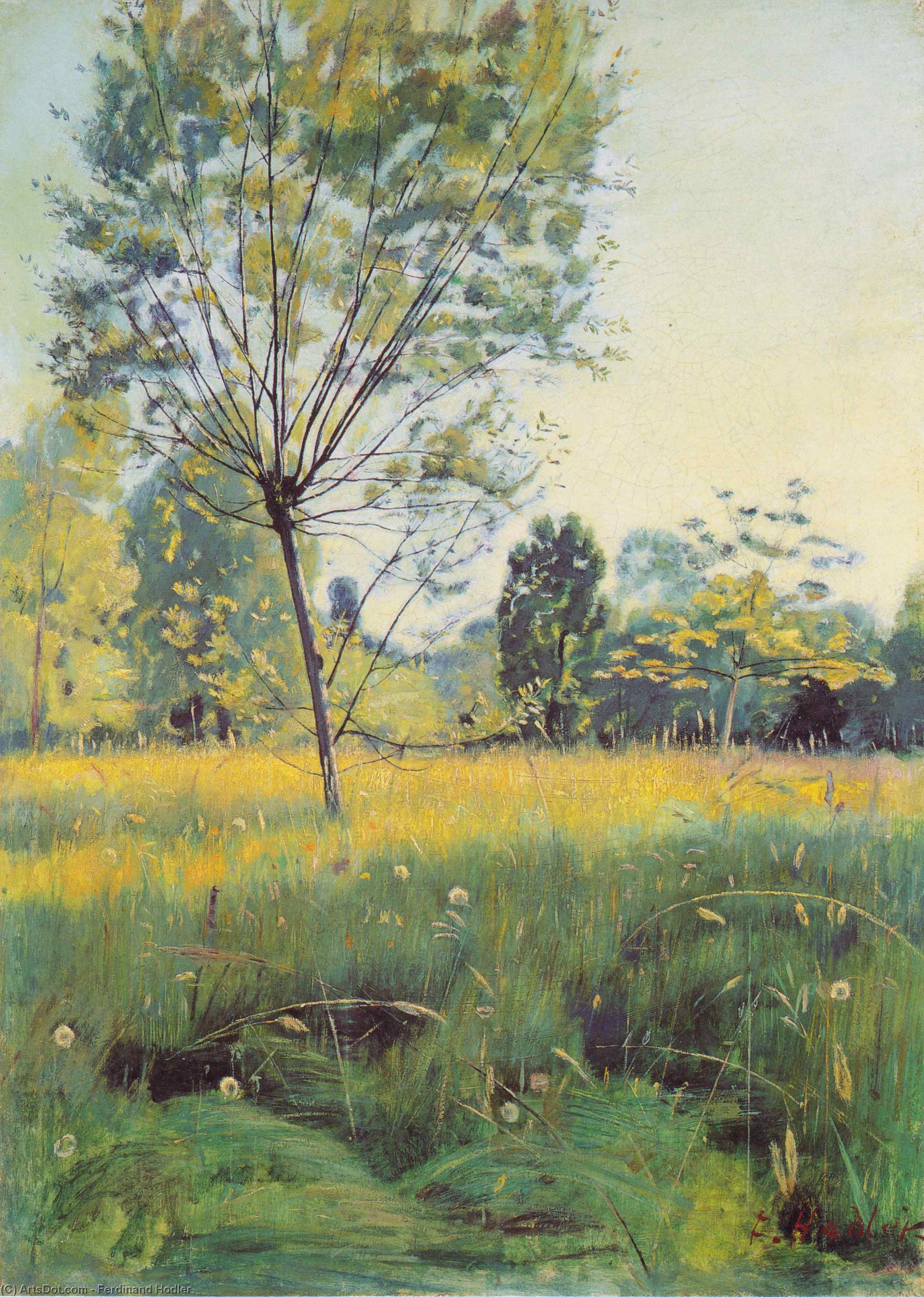 The Golden Meadow — Ferdinand Hodler
