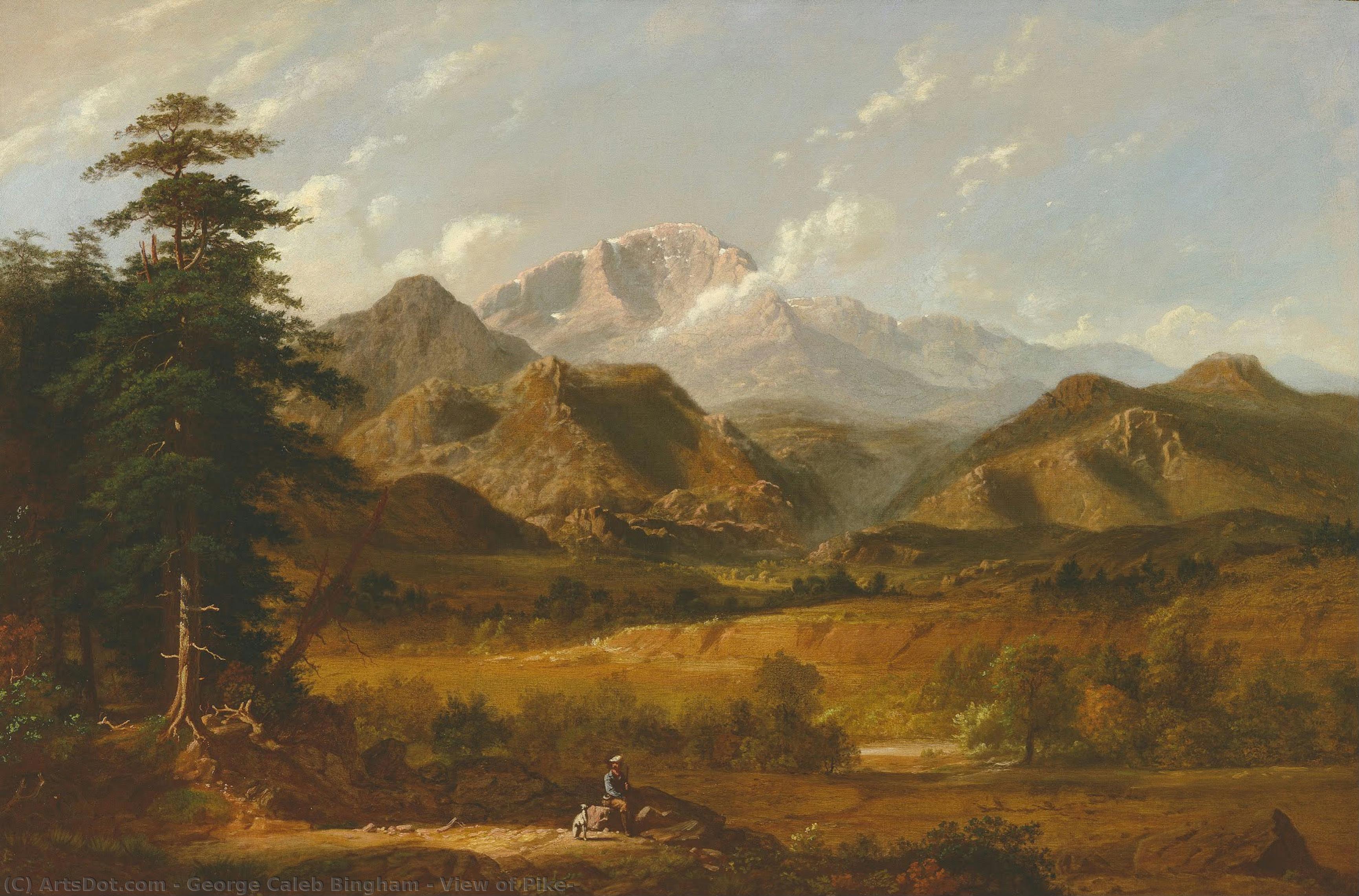 View Of Pike — Георг Кэлб Бингэм