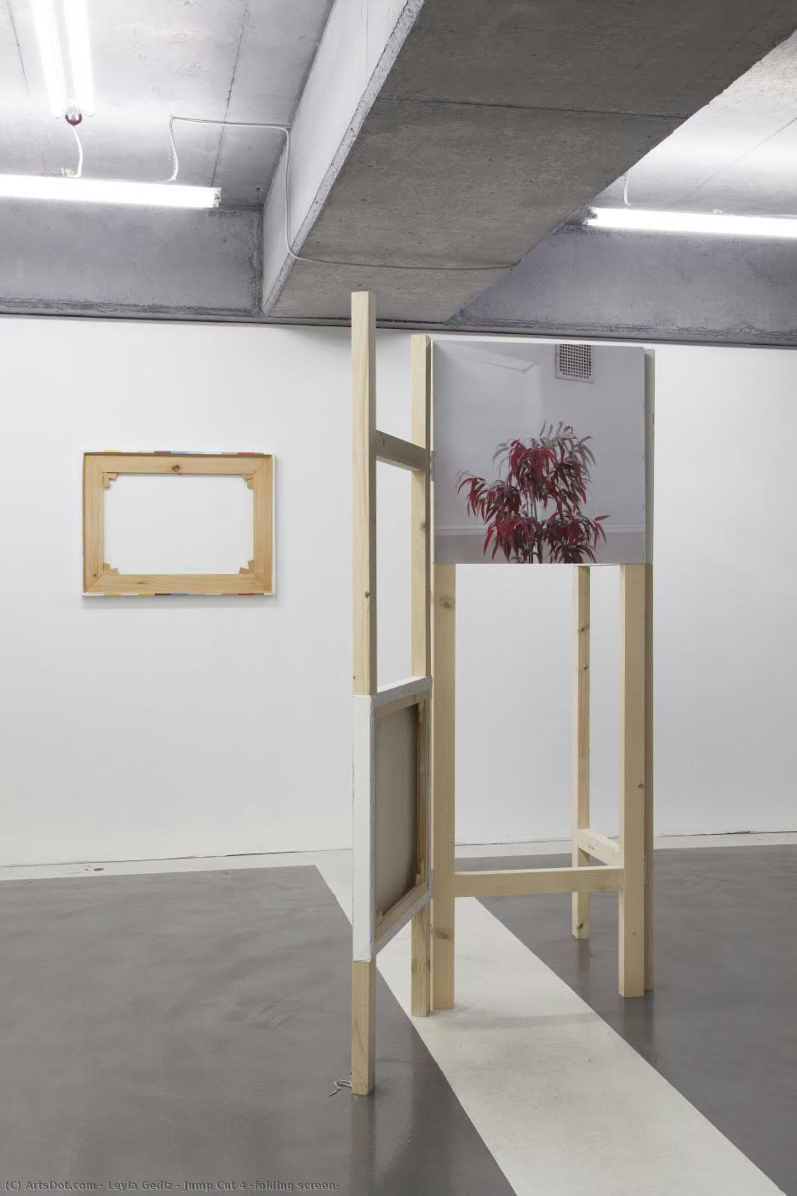 Jump Cut 4 (folding Screen) — Leyla Gediz