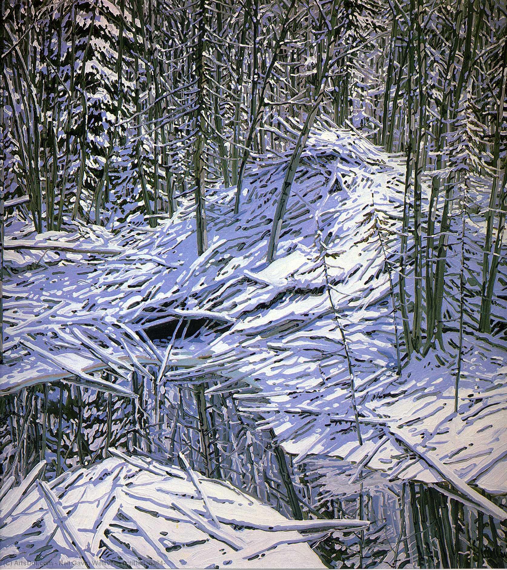 Untitled (5364) — Neil Gavin Welliver