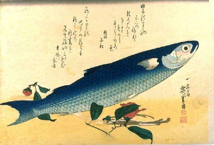 Grey Mullet, Camellia And Udo — Андро Хиросиге