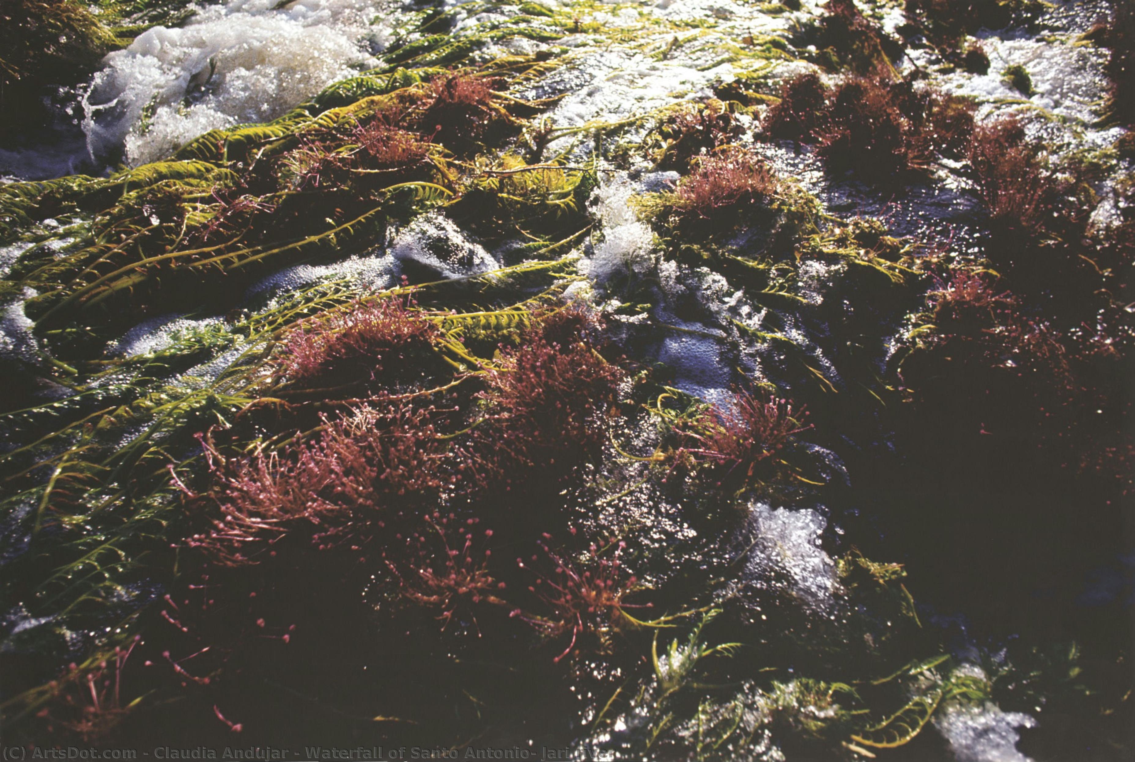 Waterfall Of Santo Antonio, Jari River — Claudia Andujar