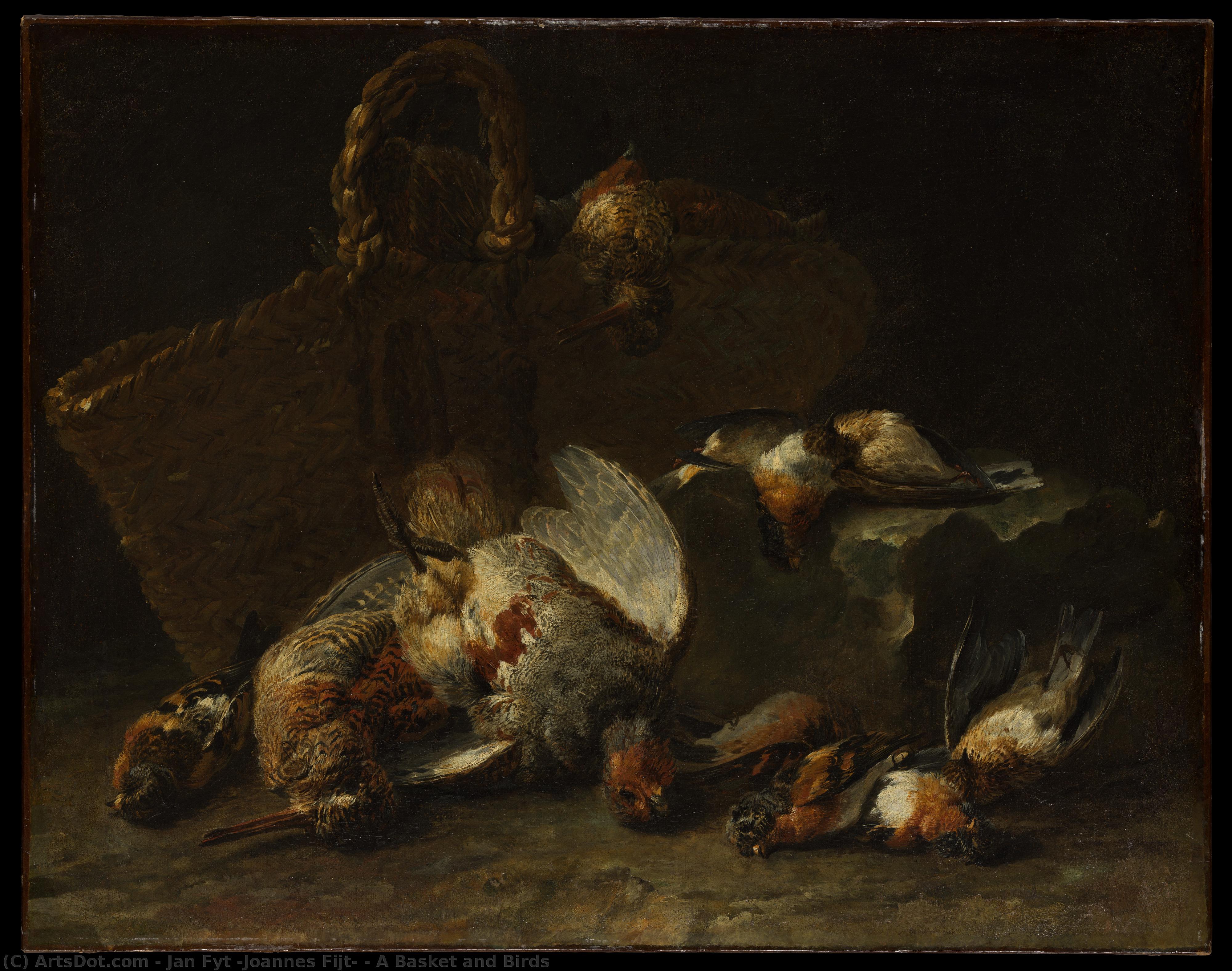 A Basket And Birds — Jan Fyt (joannes Fijt)