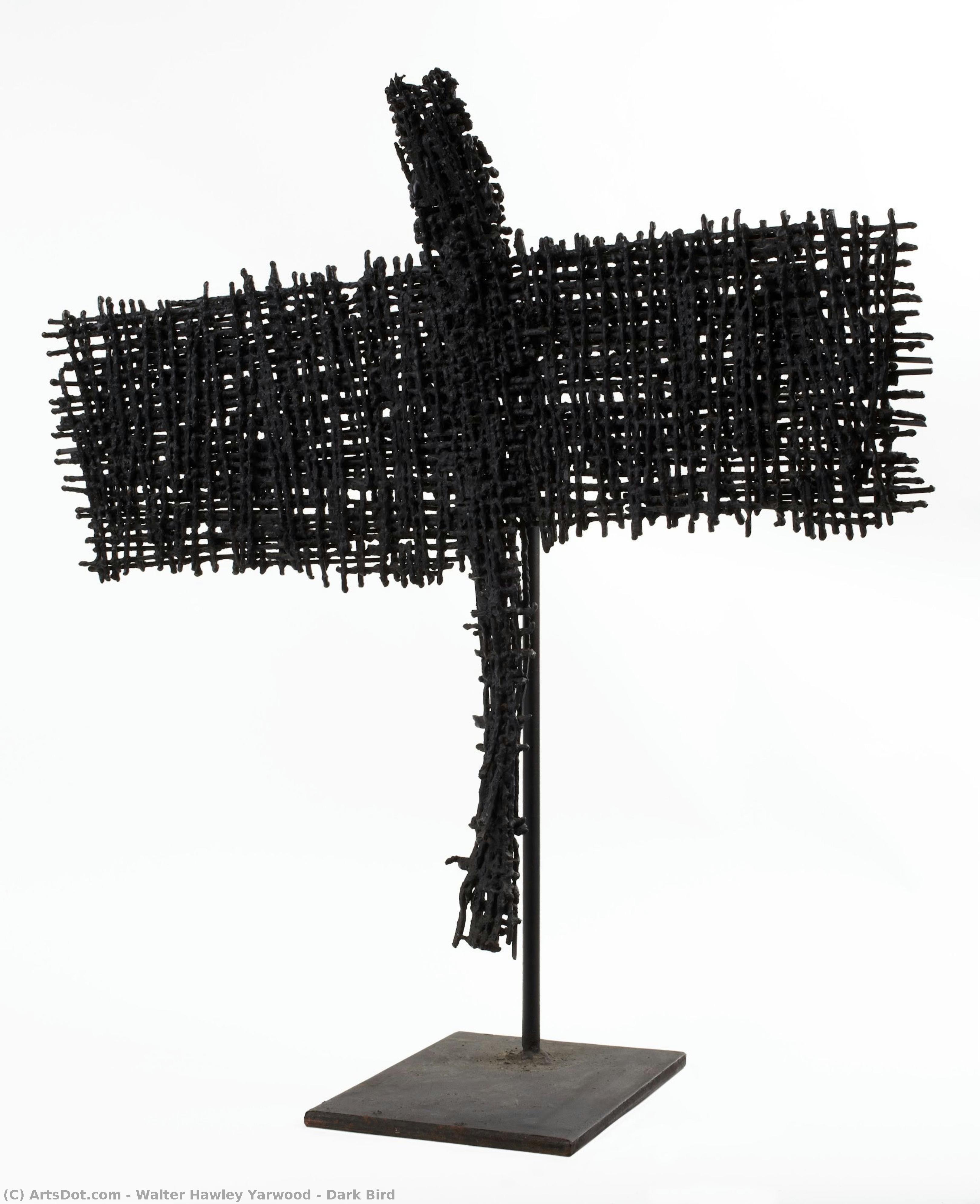 Dark Bird — Walter Hawley Yarwood