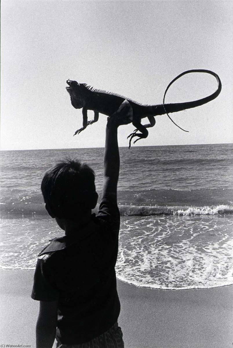 Untitled — Ira Norminsky