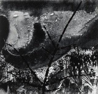 Ritual Branch — Minor White